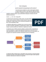 Respiración celular: etapas, rutas y papel de la acetil-CoA