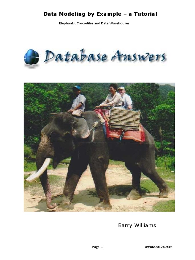 Data Modeling by Example A Tutorial PDF | PDF