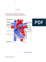 SectionB Bloodflow Gabriel John Francis