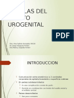 Fístulas urogenitales