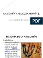 Anatomía y Neuroanatomía PDF