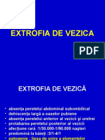 Extrofia de Vezica