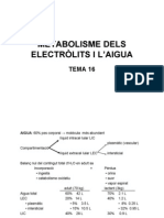 TEMA16-Electrolits b n