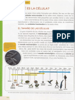 DivDiversidad y Clasificación celularersidad y Clasificación Celular