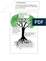 photosynthesis