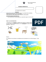 Prueba Formativa Ciencias 2 Basico