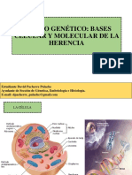 T06 - Genética I.pdf