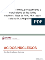 Estructura Síntesis Procesamiento y Metabolismo Acidos Nucleicos