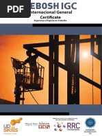 Catálogo NEBOSH pt.pdf