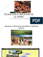 1 Tecnología e Industria de La Carne