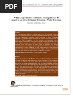 Velhice, experiência e resistência