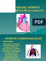 fisiologc3ada-del-aparato-cardiovascular-circulatorio.ppt