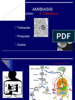 Amibiasis Dr. Verdugo 2006