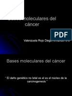 Bases Moleculares Del Cancer