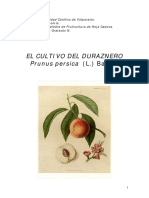 211462 Duraznero PUCV.pdf
