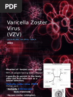 herpes zoster pada anak pdf