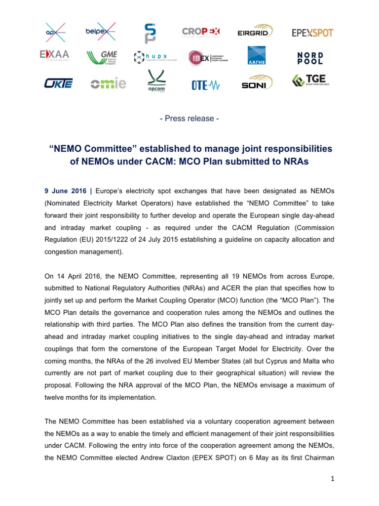 Nemo Committee Established To Manage Joint Responsibilities Of Nemos