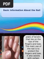 Structure of the Nail