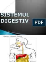Sistemul Digestiv, Mihaela Paduraru