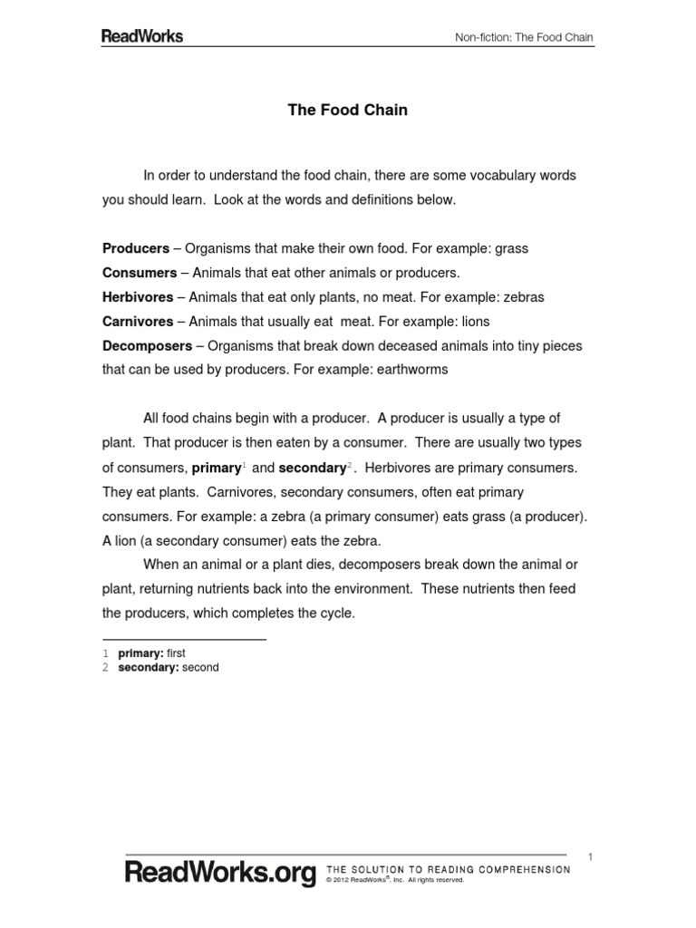 620 The Food Chain 0 | PDF | Herbivore | Plants