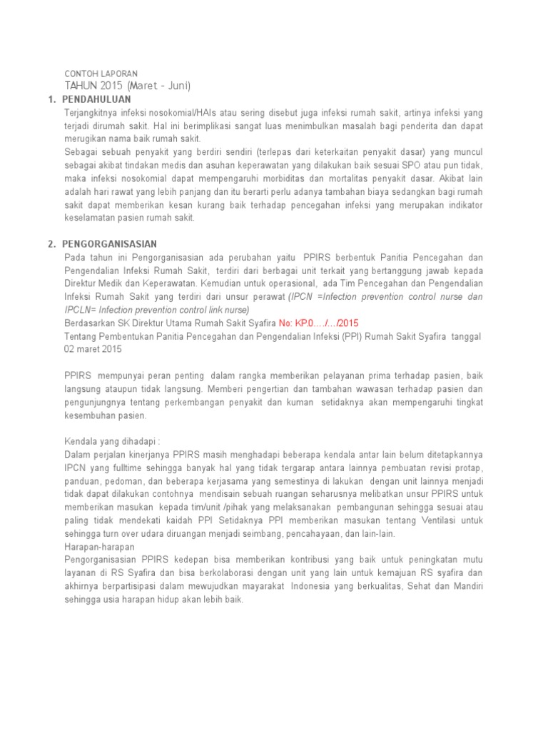 CONTOH Format Laporan PPI