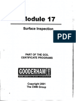 Module 17  Surface Inspection.pdf