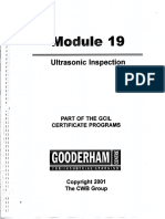 Module 19  Ultrasonic Inspection.pdf