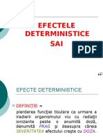 Efecte deterministice -SAI_1.ppt