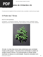 Ervas _ Orixás e Entidades Da Umbanda e Do Candomblé