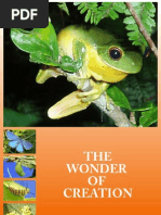 Download The Wonder of Creation  by Jennet SN31726516 doc pdf