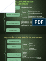 Clasificación de Patologías Pulpares y Periapicales Según Grossman