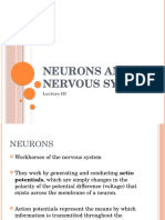 Neurons and nervous system.pptx
