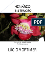 Lucio Mortimer - Instrucao - Grafica