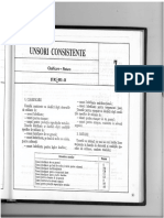 203-205 Unsori Consistente PDF