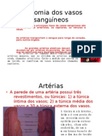 Anatomia Dos Vasos Sanguineos