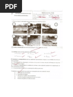 Teste de ciências naturais 8º - tema