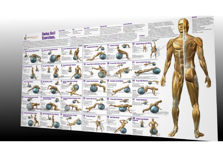 swiss ball pdf