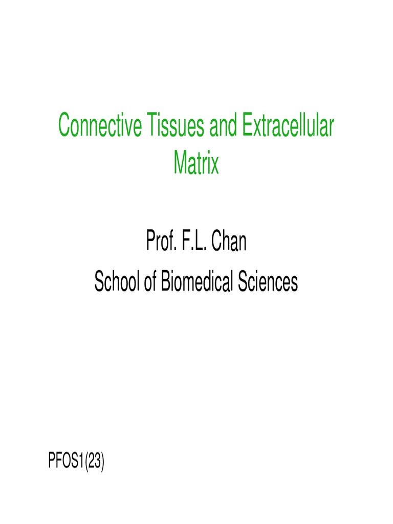 Connective Tissues and Extracellular Matrix 2014-9 | PDF | Connective ...