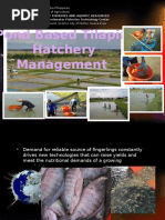 Pond Based Tilapia Hatchery Management