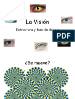 La Visión 