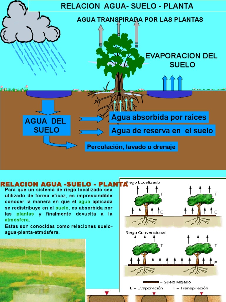 Relacion Agua Suelo Planta | Evapotranspiración | Suelo