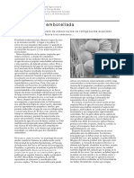 FAO AGUA DE COCO EMBOTELLADA.pdf