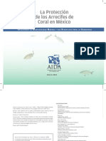 Informe Corales Mexico