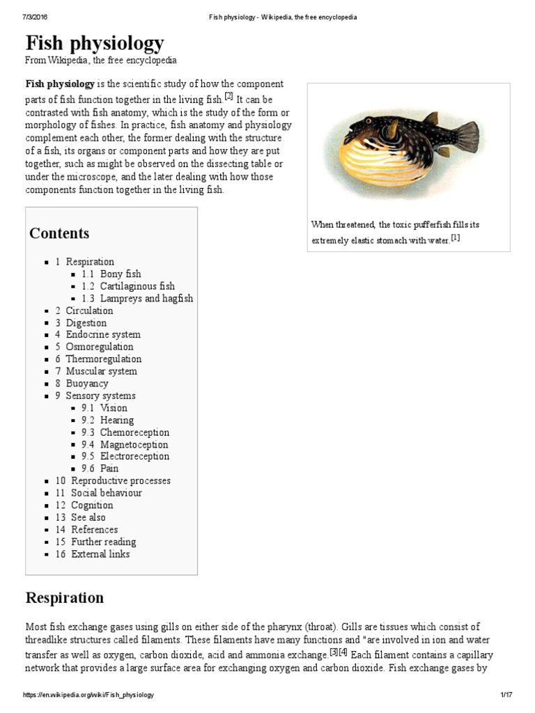 Fish Physiology 1 | PDF | Gill | Fish
