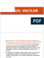 Download MULSUL VACILOR by Geanina Alis SN31734118 doc pdf