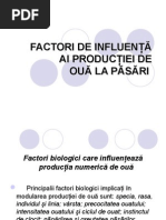 Download Prod_Oua by Geanina Alis SN31734621 doc pdf