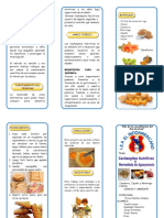 Triptico Plastilina Casera