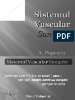 Sistemul_Vascular;filename_= UTF-8''Sistemul Vascular pt studenti APC-1