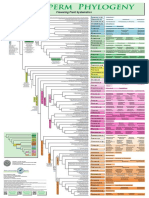 Angiosperm Phylogeny APG IV 2016