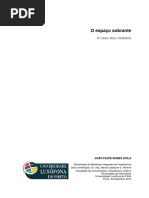 O Espaço Sobrante - o Caso Dos Viadutos